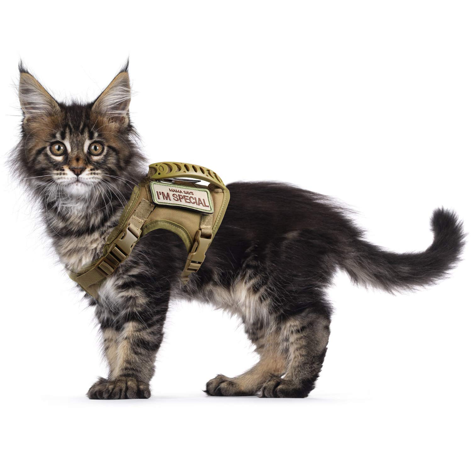 Tactical Cat Harness for Walking Escape Proof, Soft Mesh Adjustable Pet Vest Harness for Large Cat,Small Dog — image 1