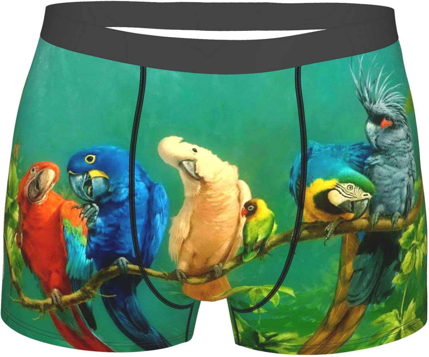 Amazon.com: Men'S Boxer Briefs Colorful Parrot Birds Feather Tree ...