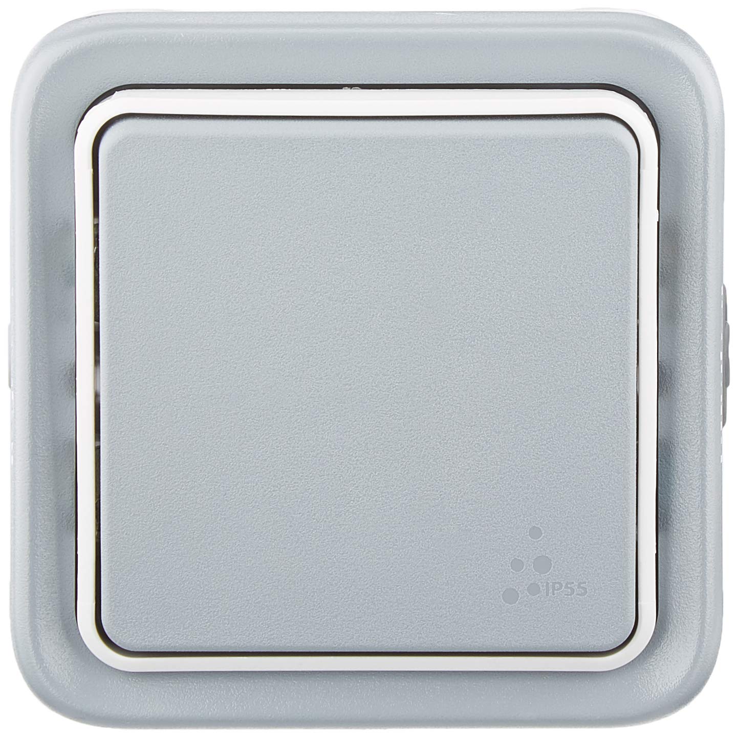 Legrand 069711 Waterproof Two-Way Switch, Complete Plexo Surface Mounting, 10AX 250V, Grey