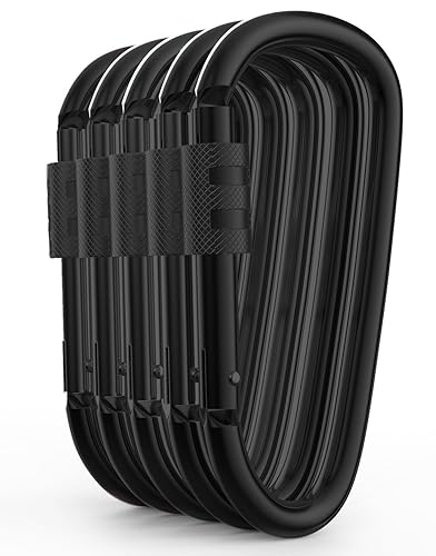 Porte-clés en forme de D arrière Lion d'or