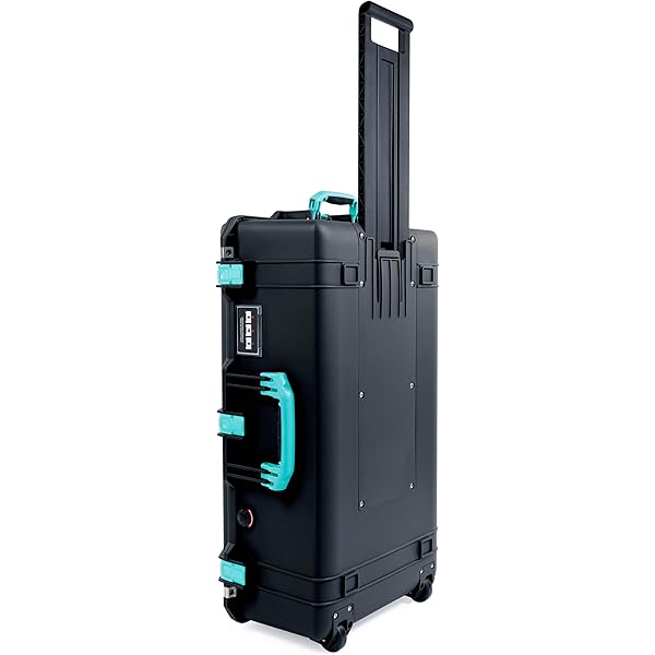 Amazon.com : Pelican 1595 Case by ColorCase - Charcoal - Large