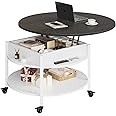 FABATO Round Lift Top Coffee Table with Wheels, Circle Center Table with Storage and Compartment, 26.77’’ Rolling Coffee Table for Living Room, 2 Tier Small Coffee Table Circle Dining Table, White