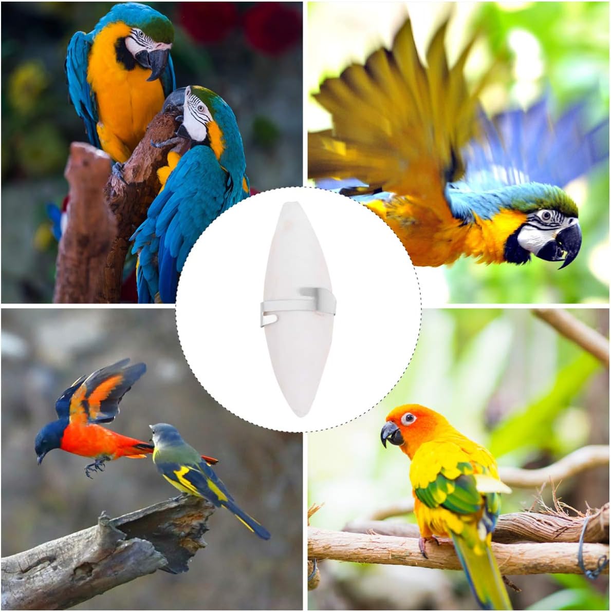 POPETPOP Parrot Cuttlebone Toys - 6 pcs Cuttlefish Bone Bird Chewing Toys for Cockatiels,Parakeets,Finches,Canaries and Lovebirds - Image 4