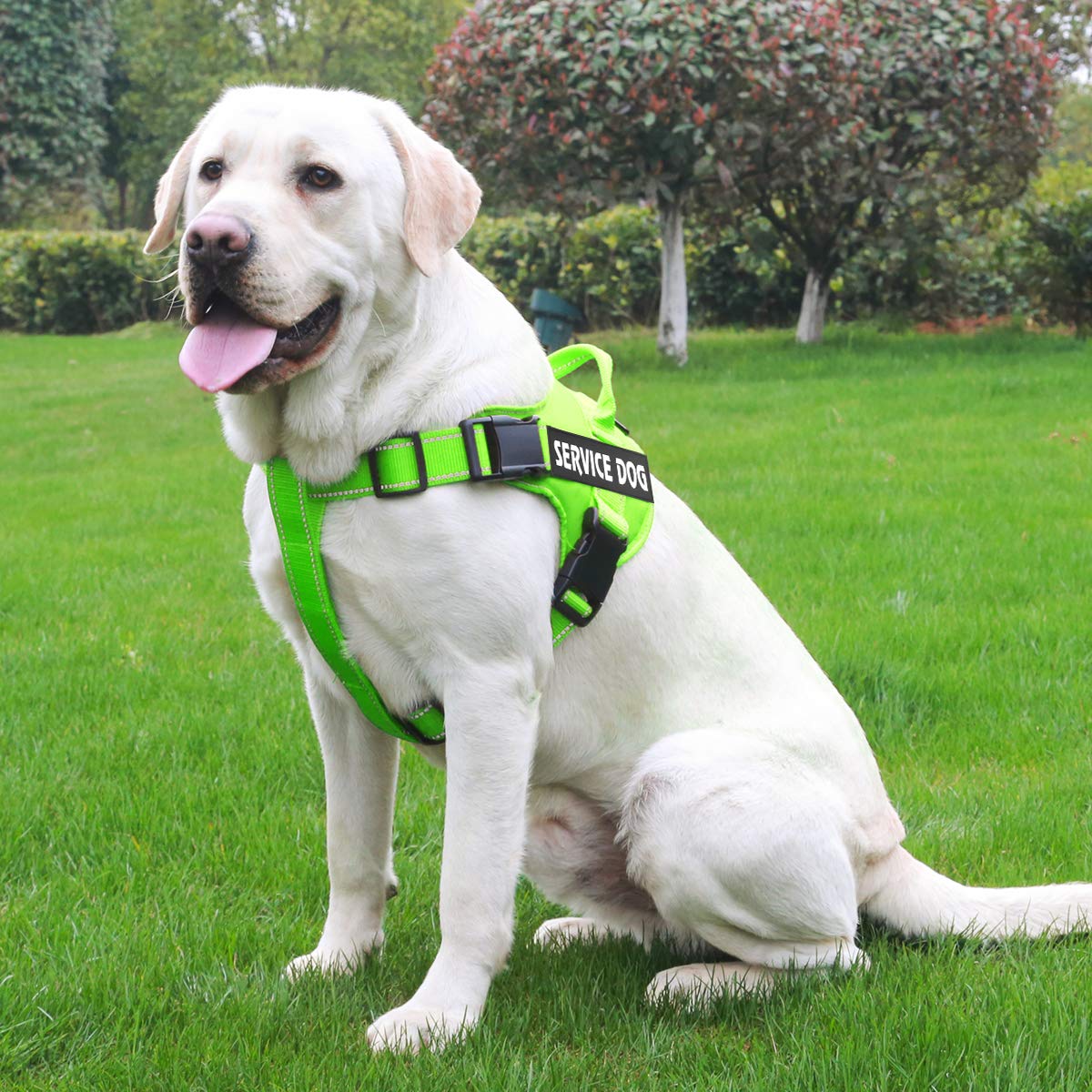 Service Dog Harness, No Pull Dog Harnesses with Handle Breathable and Easy Adjust Dog Walking