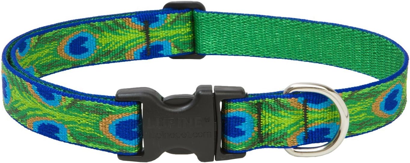 Lupine Tail Feathers Patterned Adjustable Dog Collar for Medium/ Large Dogs, 1-inch/ 12 - 20-inch