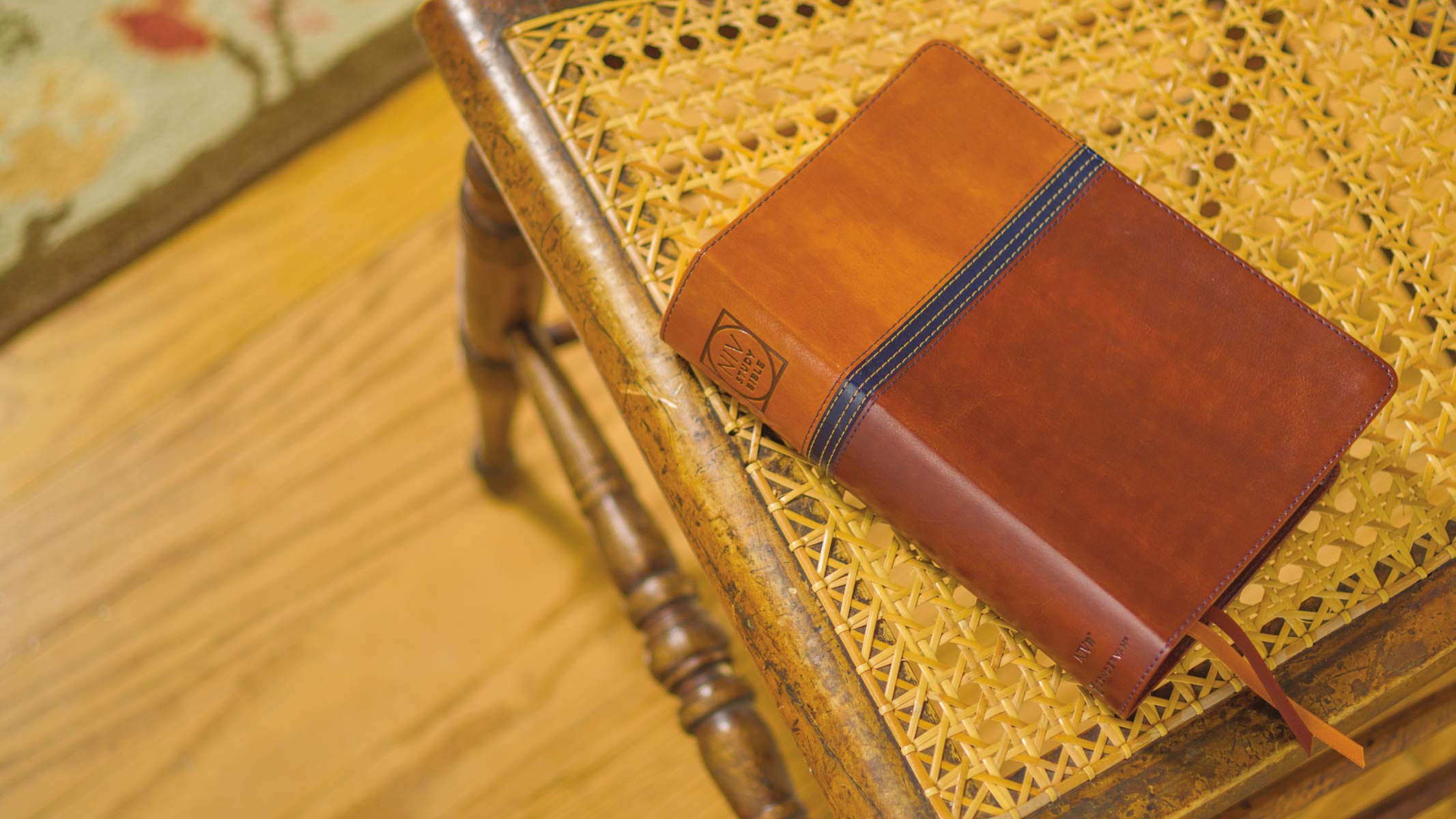 NIV Study Bible, Fully Revised Edition (Study Deeply. Believe Wholeheartedly.), Personal Size, Leathersoft, Brown/Blue, Red Letter, Comfort Print