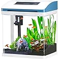 Small Fish Tank 2 Gallon Glass Aquarium Starter Kits Self Cleaning w/Colorful LED Light for Betta Shrimp Guppy Jellyfish Gold