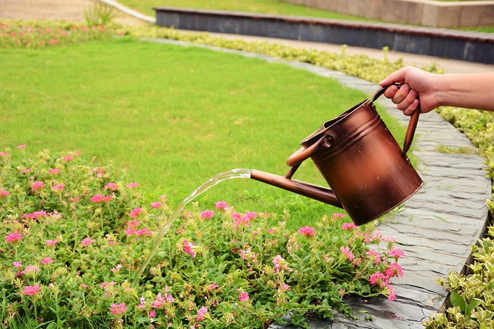 yourjoy Steel Watering Can Sliver Galvanized Steel Watering Can with Copper Accents, Removable Rosette-Diffuser, One-Gallon : Garden & Outdoor