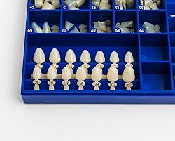 Polycarbonate Temporary Dental Crowns Kit 180 pcs