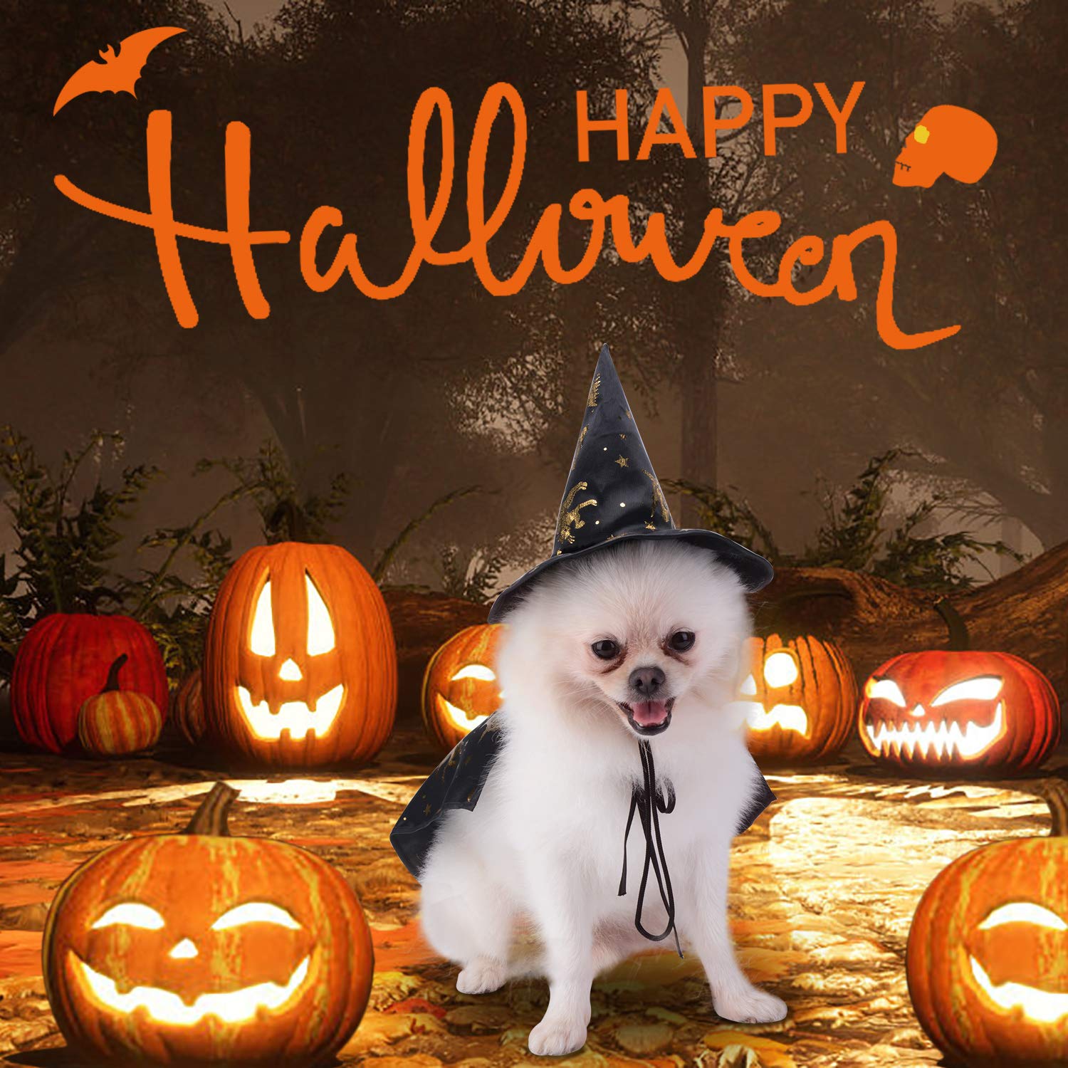 Legendog Dog Costume, Halloween Costumes for Small Dogs, Creative Dog Cape with Witch Hat, Halloween Pet Costume
