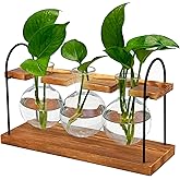 Plant Terrarium with Wooden Stand, The Ultimate Gift for Plant Lovers, Propagation Station with Retro Glass Bulbs, Creating a Stunning Tabletop Display of Hydroponic Greenery in Any Home or Office