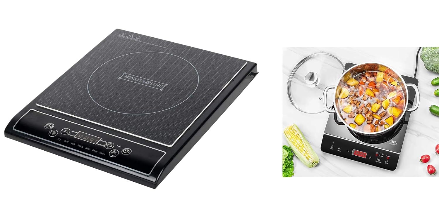 Royalty Line - Placa de inducción portátil, 2000W - EIP-2000 ...