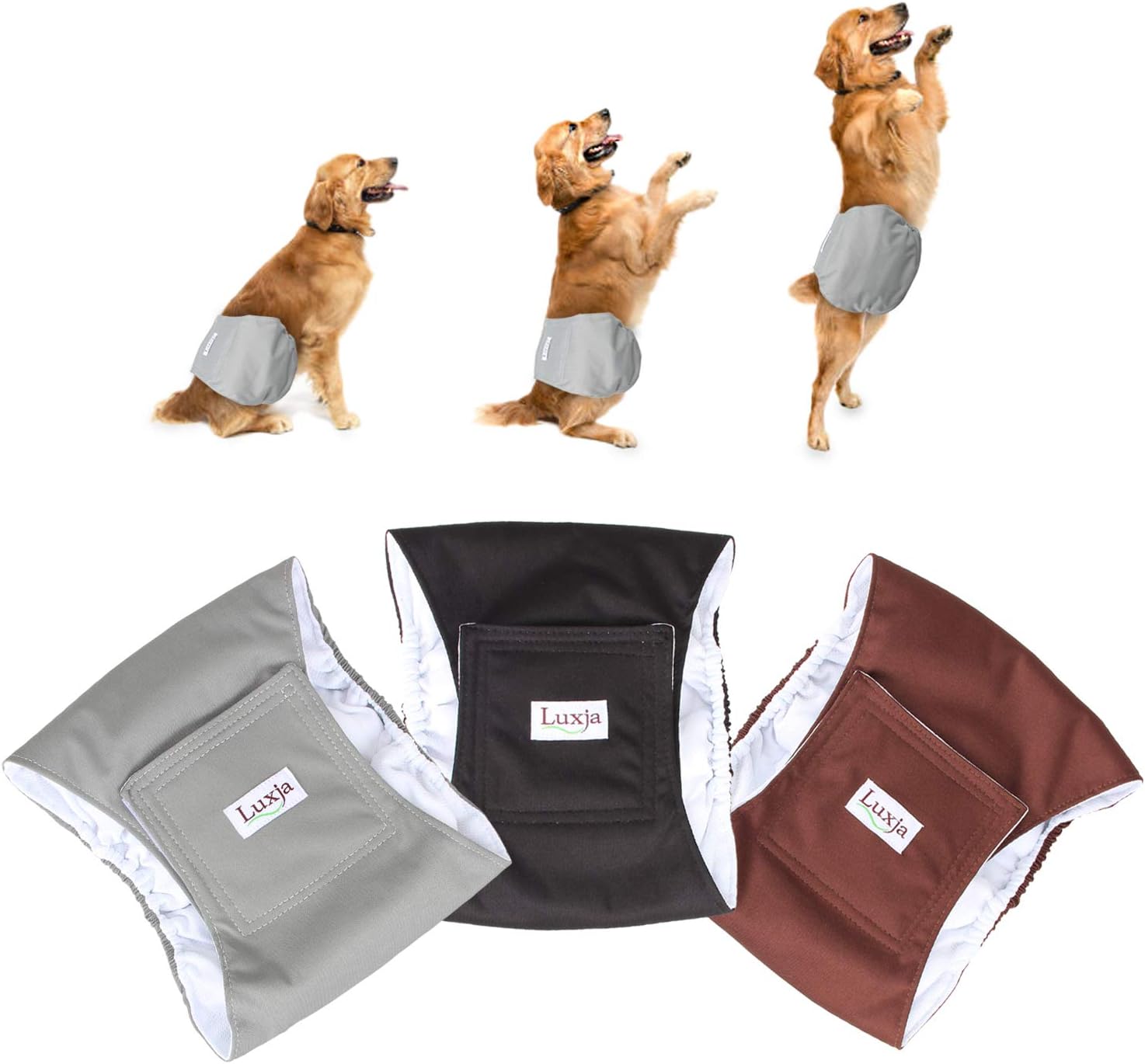 wegreeco male dog diapers
