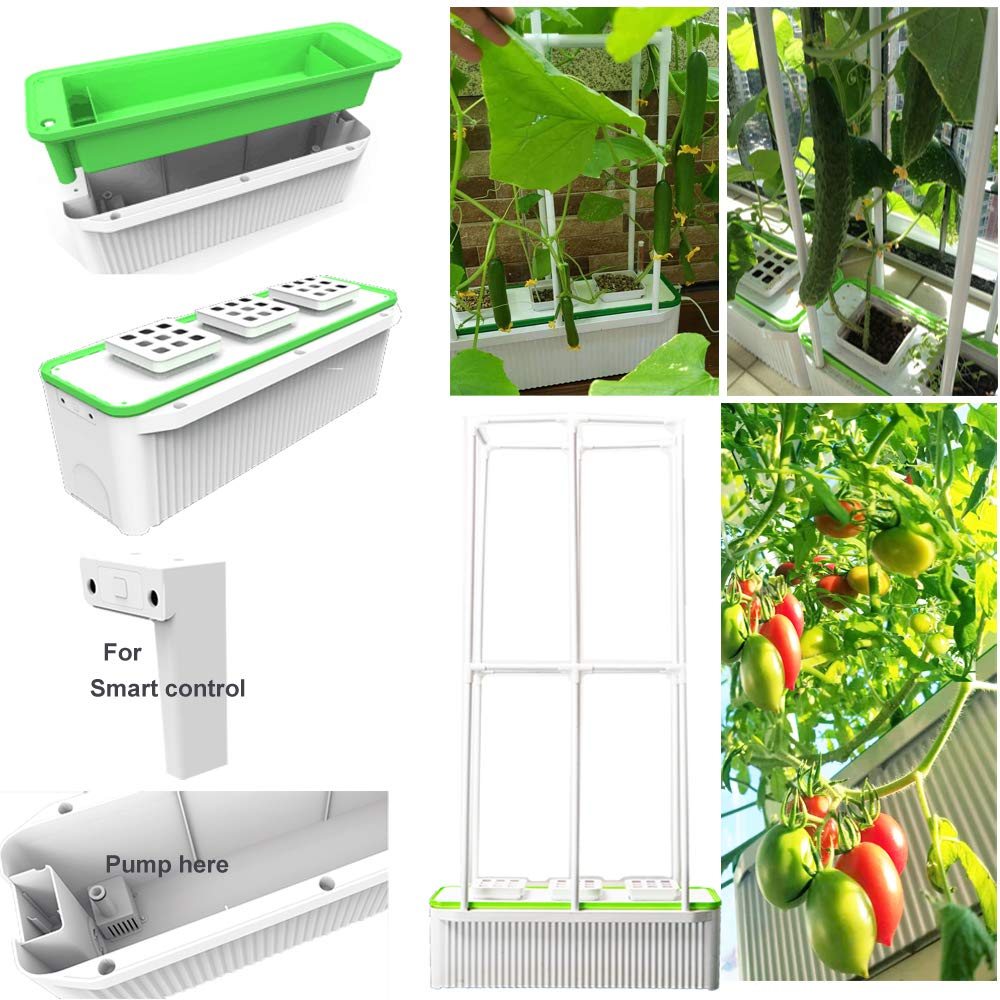 Large Smart Hydroponics Growing System kit,7L Indoor Hydroponic Garden Plant Grow Kit for Herb,Tomato,Pepper,Cucumbers,Vines Plants, Gardening Gift Choice for Wife,Husband,Mom (60“ Trellis No Light)