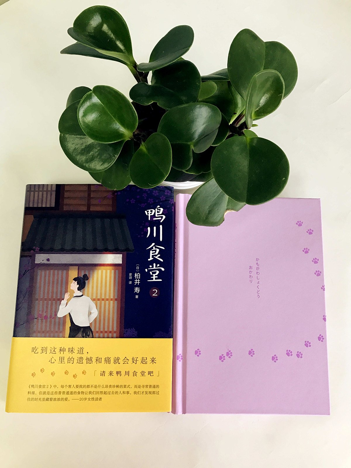 鸭川食堂 日 柏井寿 Amazon Com Books