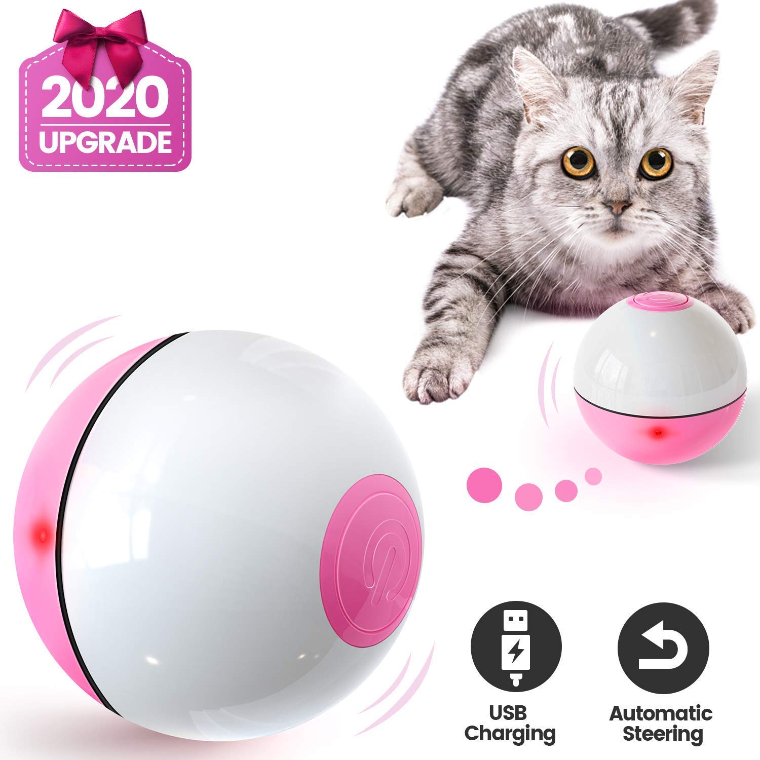 cat toys online
