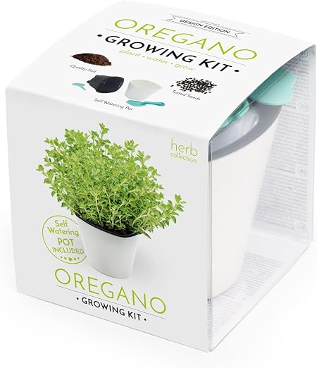 Domestico Kit de Orégano para cultivar, Oregano growing kit, All ...