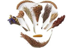 JFWOD Natural Hamster Bedding Flowers Herbs Sprays Treat Cereal Grain for Cage Habitat Enclosure Decor Hamster Chews for Dwarf Syrian Gerbils Mice Mouse Rat Forage Pet Hamster Accessories Supplies