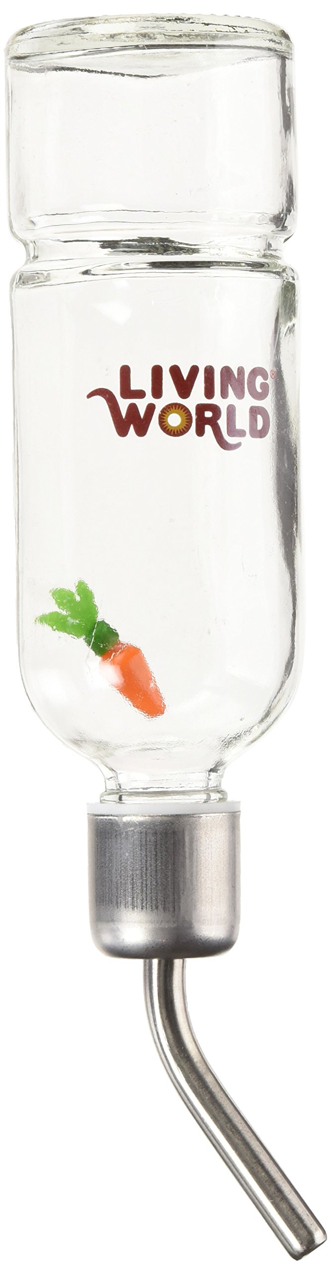 LIVING WORLD Eco Chew Proof Water Bottle, 177 ml, 6 oz