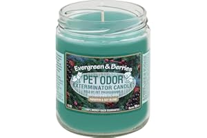 SPECIALTY PET PRODUCTS Pet Odor Exterminator Candle, Evergreen Berries,13 oz