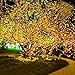Indoor Lights String WEKSI Dimmable LED Starry String Lights Copper Wire Lights with Remote Control for Gardens, Homes, Dancing, Wedding,Christmas Party Decorative ( 33 ft, Warm White 100 Leds, 10M)