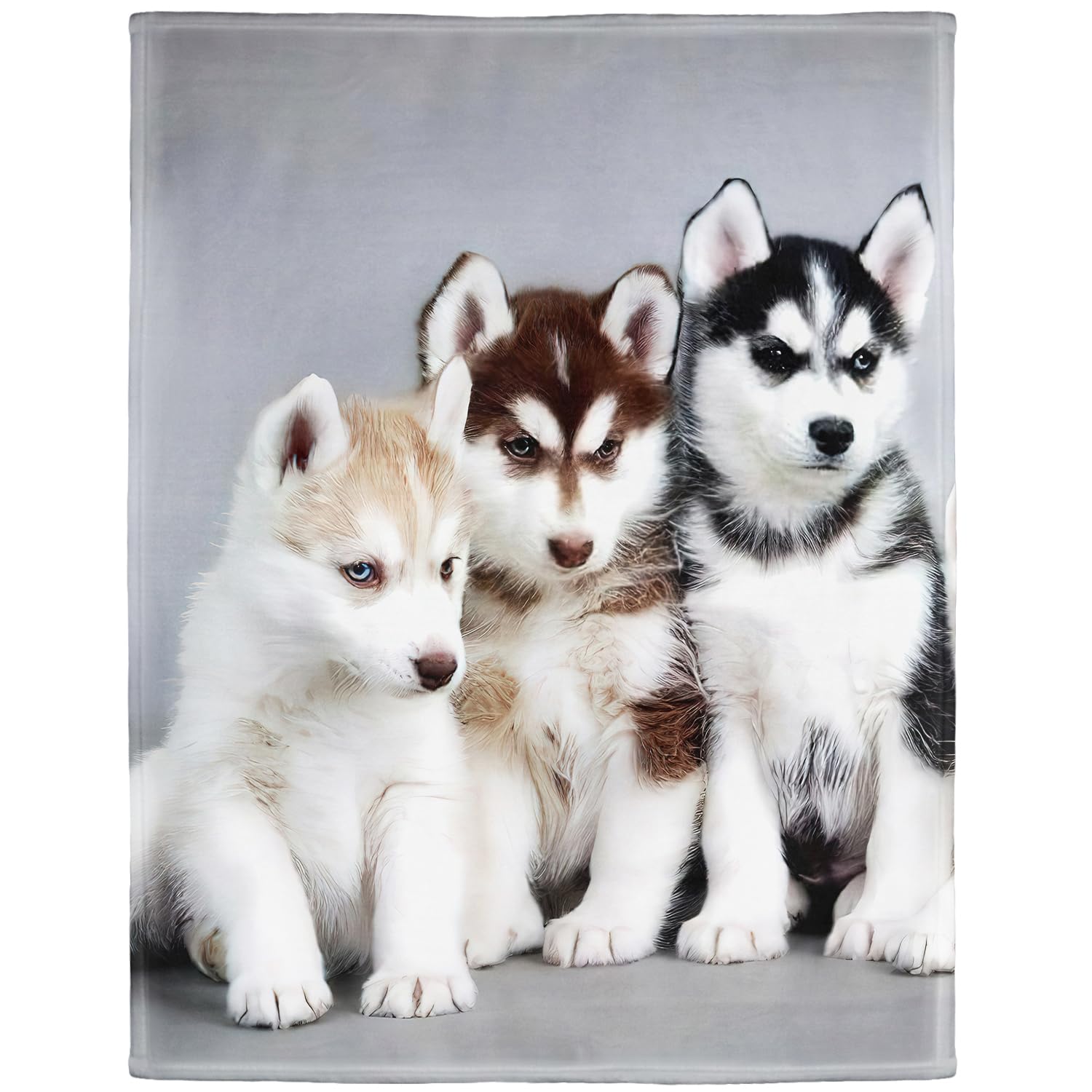 YISUMEI - Soft Fleece Blanket - Siberian Husky Puppies Dogs Pets,150 x 200 cm Throw Suitable for Bed or Sofa