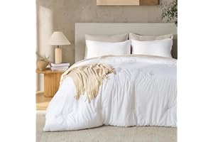Andency White Queen Size Comforter Set, 3 Pieces Boho Solid Bedding Comforters & Sets, Modern Reversible Soft Lightweight All