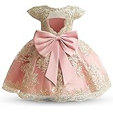 HNXDYY Baby Girl Tutu Dress Princess Lace Embroidery Wedding Party Gown