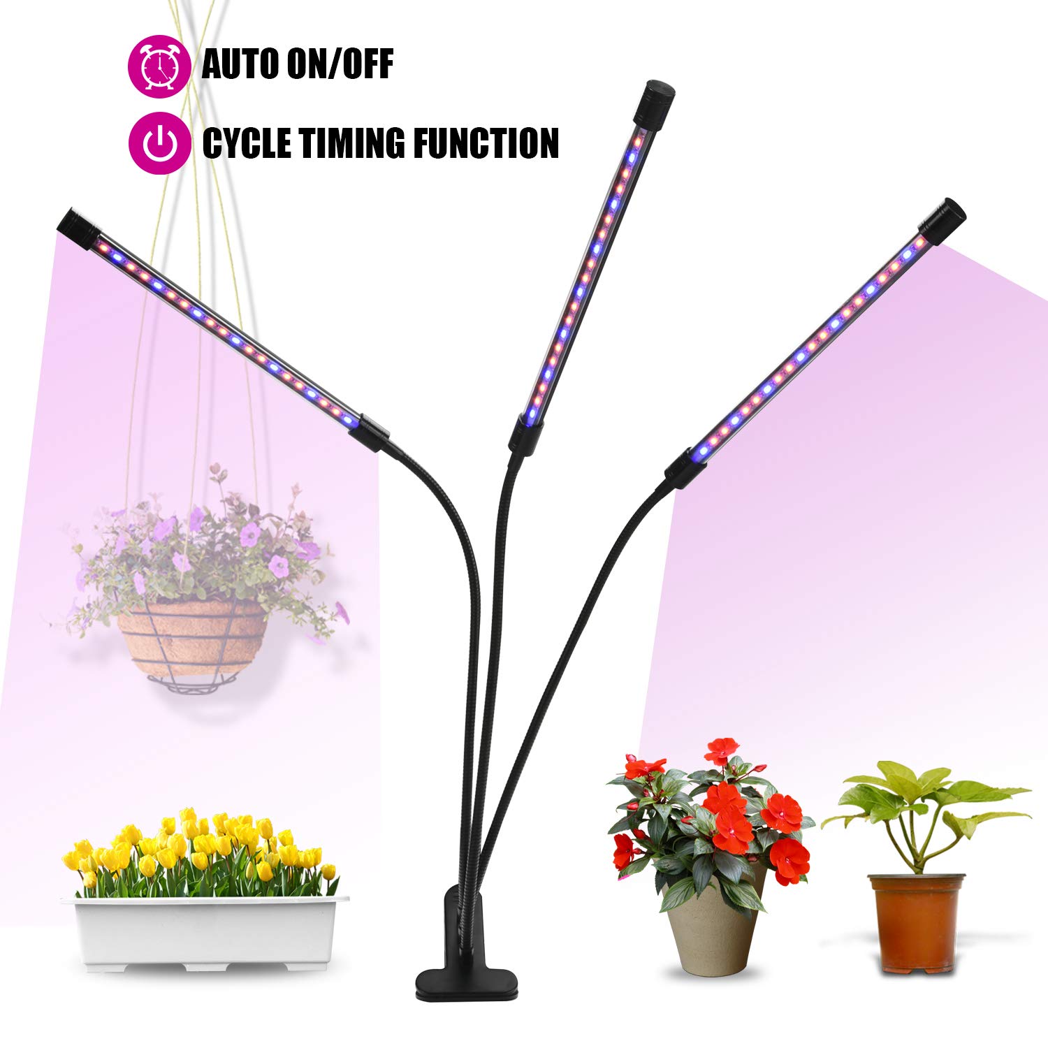 Best 30W Solar Led Lighting System