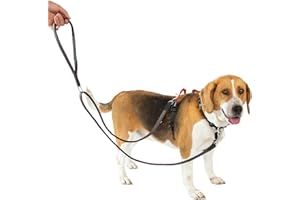 LufeLux No Pull Dog Harness with Two Points Control Leash Set, Neck Buckle, Aluminum D-Rings, 6 Points Adjustment, Easy Walking and Training, Leash with 2 Clips (Harness-Leash Set, L)