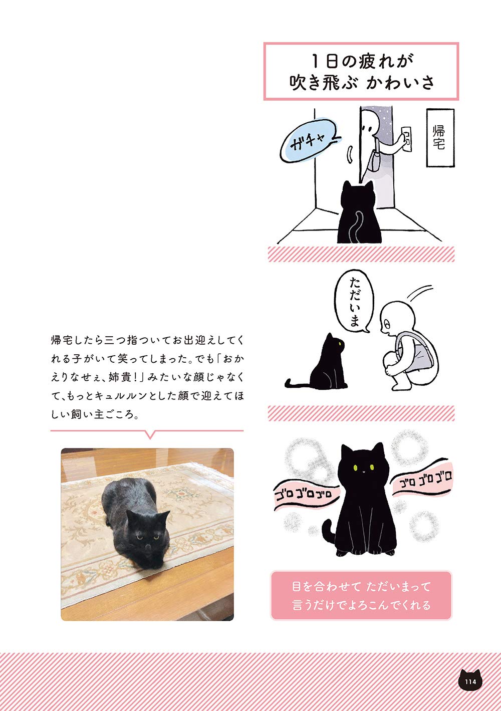 黒猫ろんと暮らしたら Akr 本 通販 Amazon