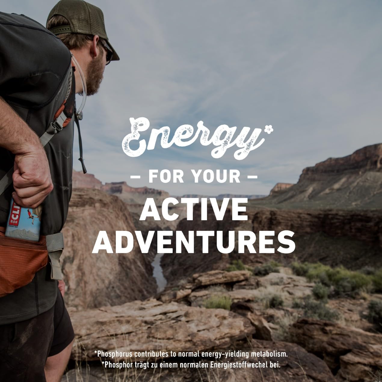 CLIF BAR | Energieriegel | mit 11g pflanzlichem Eiweiß | Blueberry Almond Crisp | Energy Bar | Pflanzlicher Proteinriegel für Laufen, Marathon-Training, Radfahren und Ausdauersport | 12 x 68 g 5