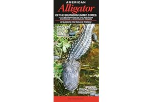 American Alligator of the Southern United States: A Guide to Its Natural History