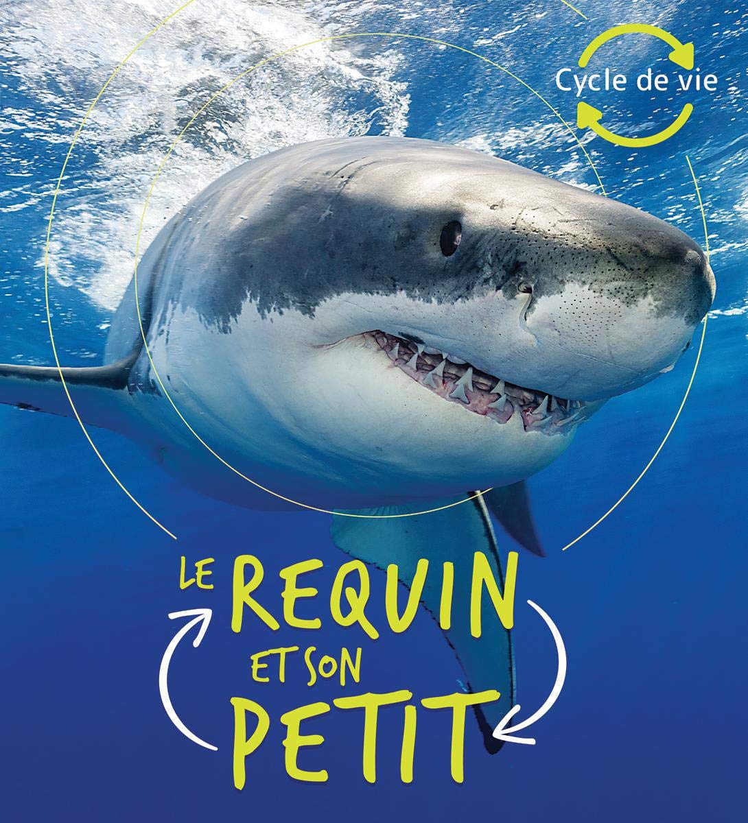 Cycle De Vie Le Requin Et Son Petit French Edition De La Bedoyere Camilla Amazon Com Books