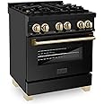 ZLINE Autograph Edition 30 in. 4.0 cu. ft. Legacy Dual Fuel Range with 4 Burner Gas Cooktop and Electric Convection Oven in Black Stainless Steel and Polished Gold Accents (RABZ-30-G)