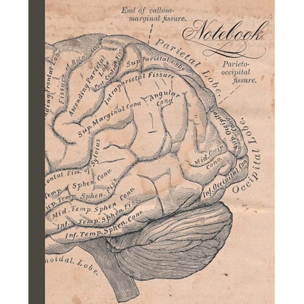 BRAIN NAVIGATION 特別ディスク Deep Brain Stimulation devices | Boston Scientific