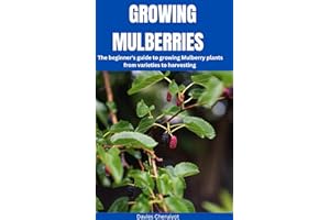 GROWING MULBERRIES : The beginner's guide to growing Mulberry plants from varieties to harvesting (Berries farming)