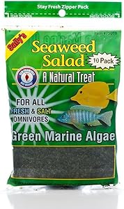 San Francisco Bay Brand Seaweed Salad Green 10ct (30g)