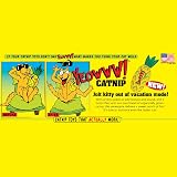 YEOWWW Pineapple Catnip Toy for Cats Yellow 7" All Breed Sizes view 3