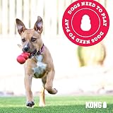 KONG Flyer Durable Natural Rubber Flying Disc Dog Toy Small Dogs view 8