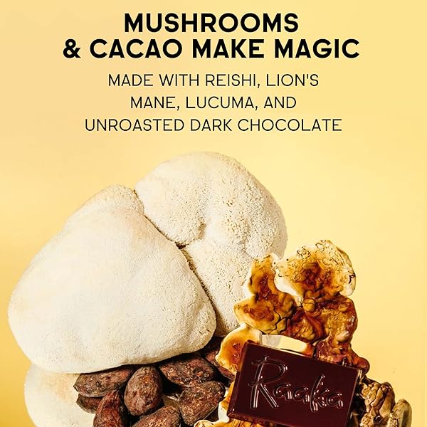RAAKA COCOA MAGIC MUSHROOM HOT CHOCOLATE BLEND WITH LION’S MANE, REISHI AND LUCUMA – GOURMET ADAPTOGENIC MUSHROOM HOT CHOCOLATE – ORGANIC, VEGAN, LOW SUGAR, GLUTEN FREE, KOSHER – 5 OZ. BAG (8 SERVINGS)