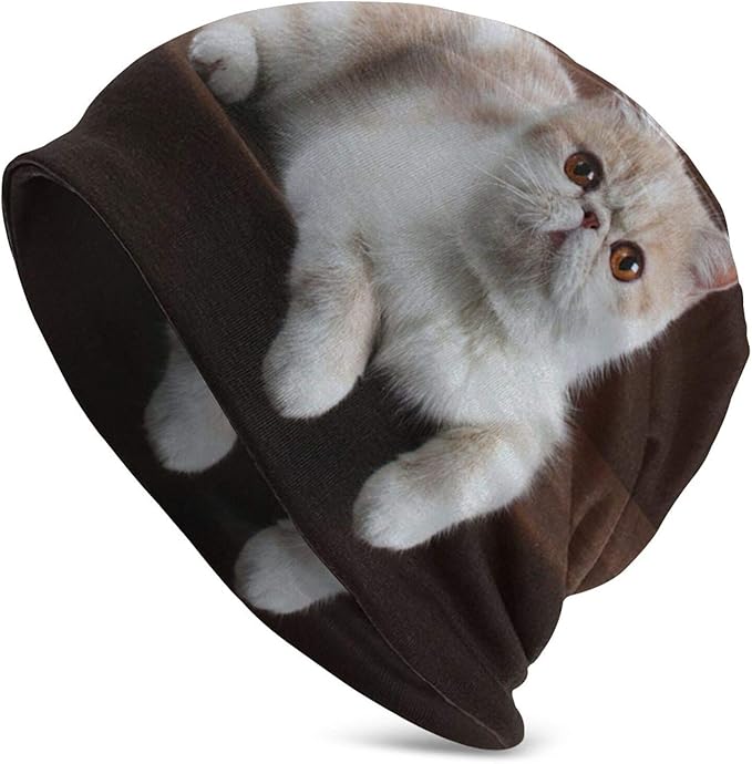 Amazon ニット帽 春 夏 秋 冬 ニットキャップ ビーニー 医療用帽子 抗がん剤 サマーニット ケア帽子 エキゾチックショートヘア猫 薄手 柔らかい 通気性あり オールシーズン メンズ レディース 男女兼用 ニット 通販