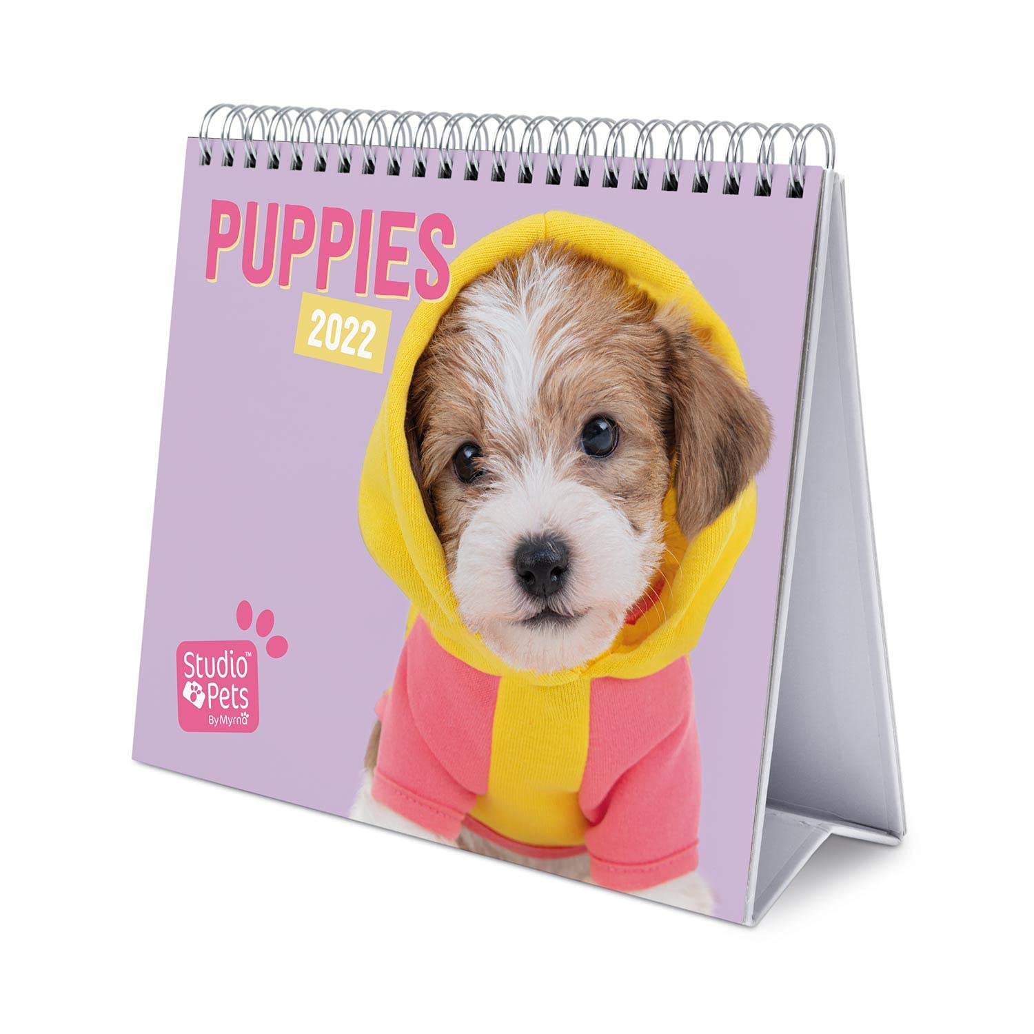 Grupo Erik Official Studio Pets Dogs Calendar 2022 - Desktop Calendar 2022 Dogs Desk Calendar 2022-12 Month 2022 Planner, Puppies Purple, CS22013