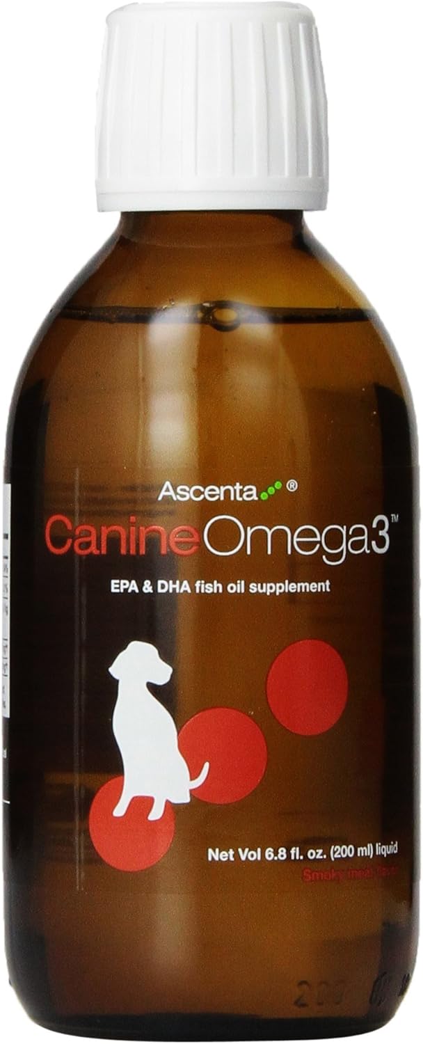 german shepherd and malinois