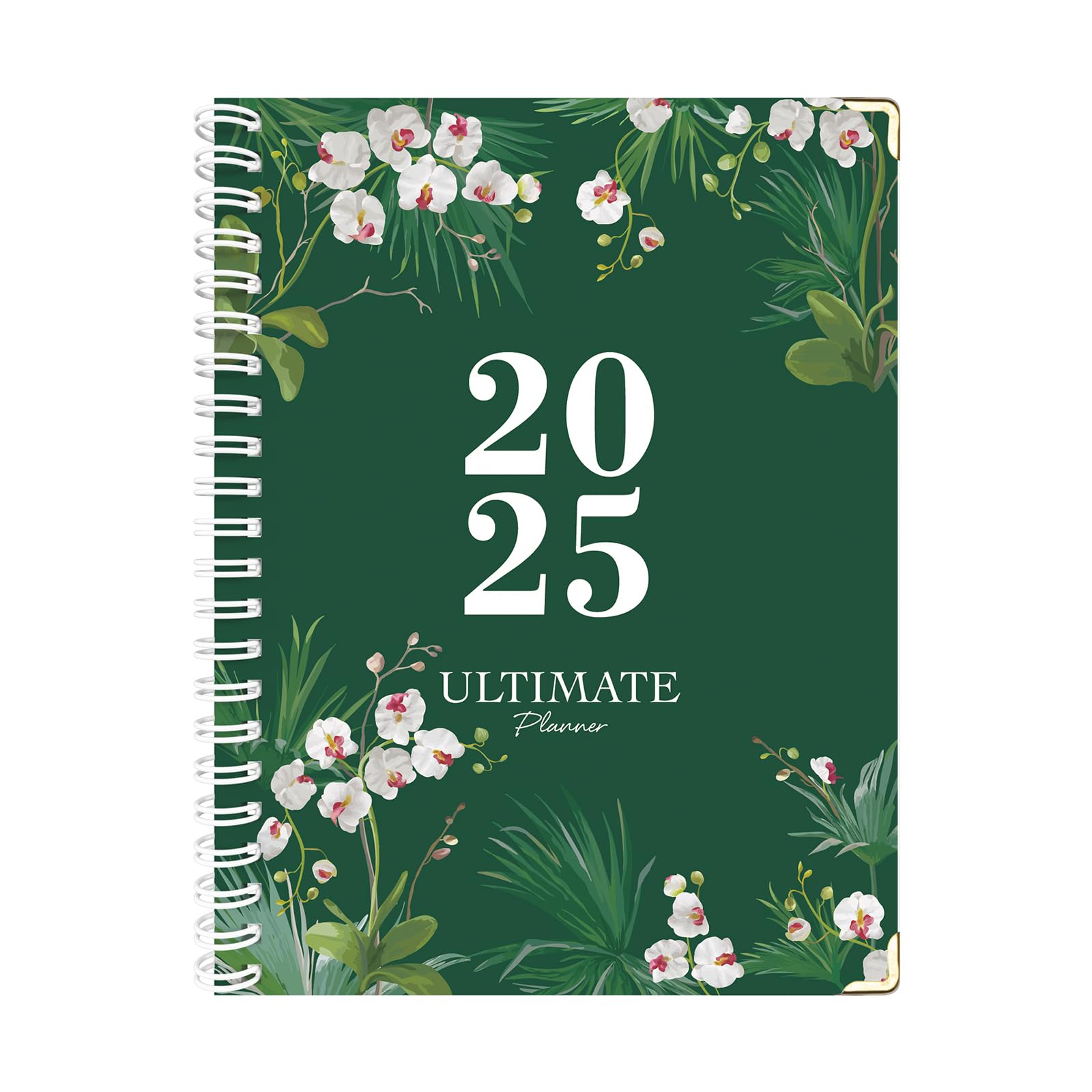 Photo 1 of ****2 pack*****2025 Planner - A4 Weekly and Monthly Planner to Achieve Goals 8.5" x 11", Spiral Bound, Monthly Lables, Ideal for School Office Supplies, Phalaenopsis