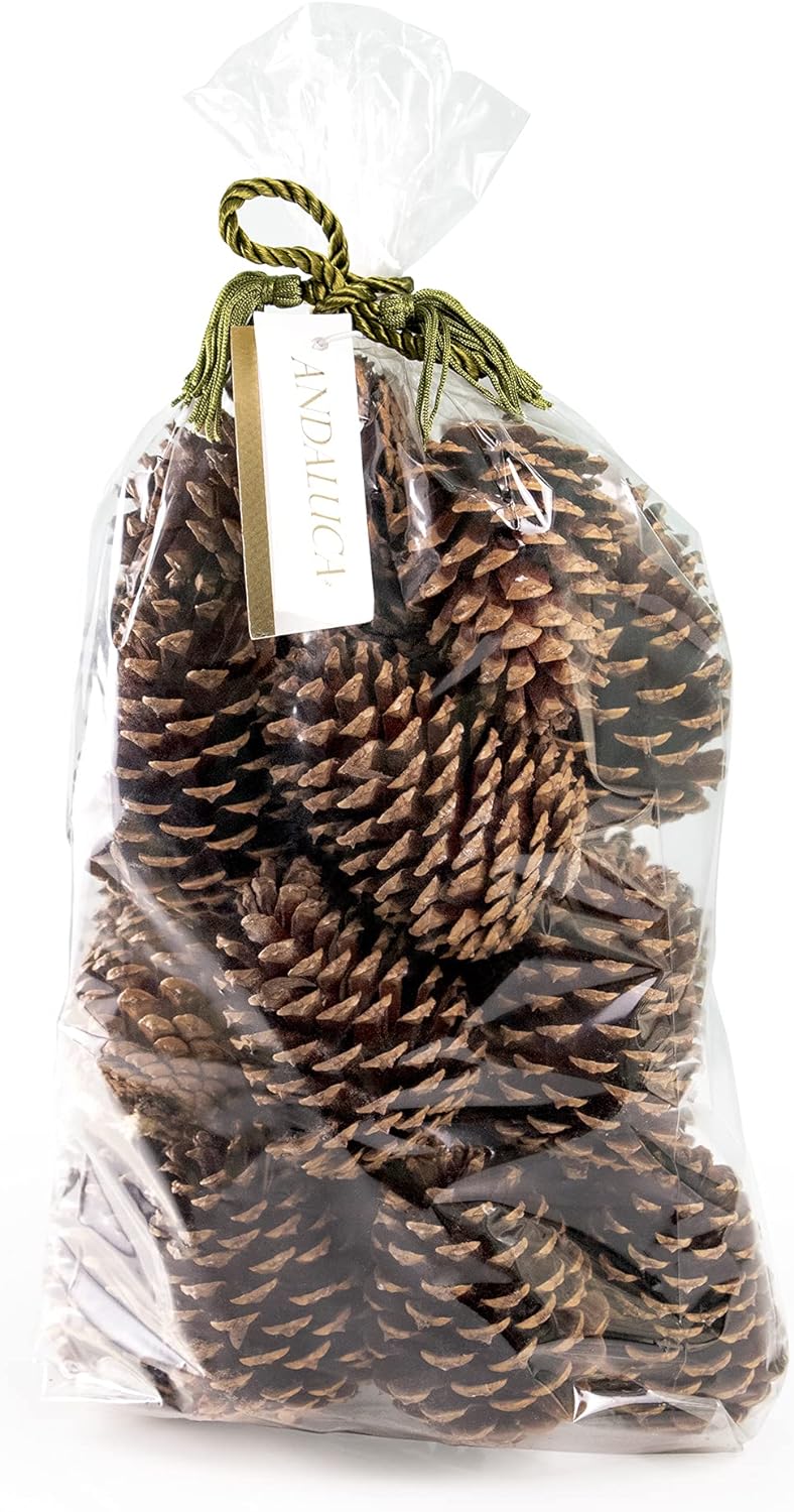 Vase Fillers - ANDALUCA Pinecone Vase & Bowl Fillers | Scented Pine Cones Decor (Natural)