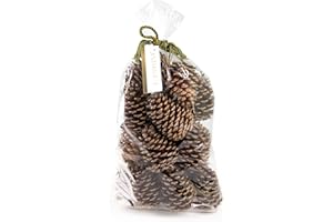 ANDALUCA Pinecone Vase & Bowl Fillers | Scented Pine Cones Decor (Natural)