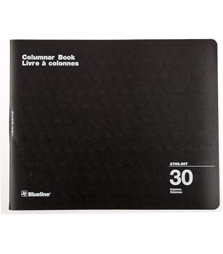Blueline Columnar Book, Twin-Wire Binding, 24 Columns with