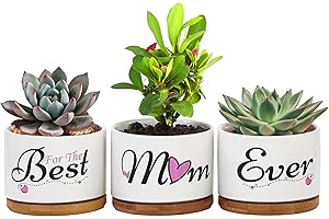 Gifts for Best Mom Ever - Birthday Gifts for Women from Daughter Son - Cute Ceramic Succulent Pots and Indoor Planter - Perfe