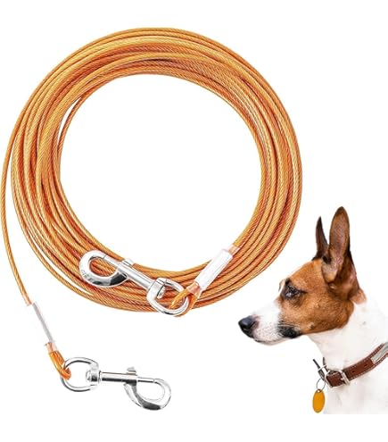 Canine Hitch- Secure Dog Leash Parking Mounted Indoor U00e2u20ac
